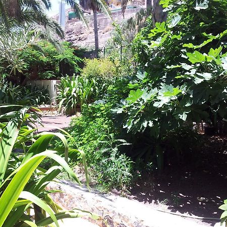 Appartement El Jardin à Mogán Extérieur photo