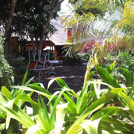 Appartement El Jardin à Mogán Extérieur photo